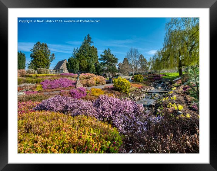  The National Heather Collection, Riverside Park P Framed Mounted Print by Navin Mistry