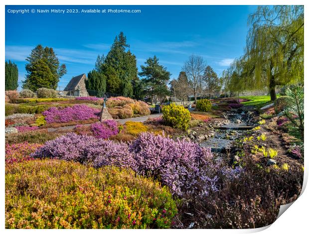  The National Heather Collection, Riverside Park P Print by Navin Mistry