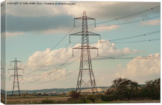 Pylons  Canvas Print by Sally Wallis