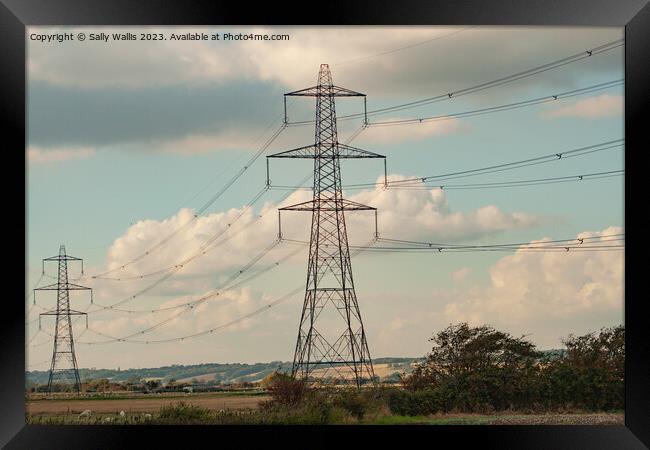 Pylons  Framed Print by Sally Wallis