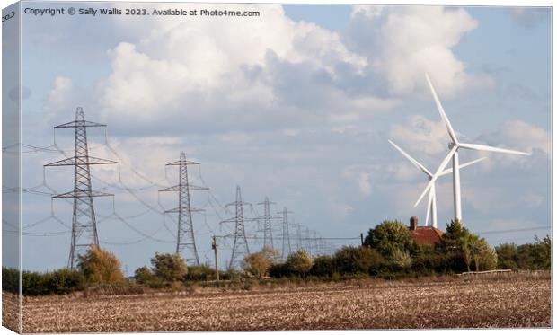 Pylons and turbines Canvas Print by Sally Wallis