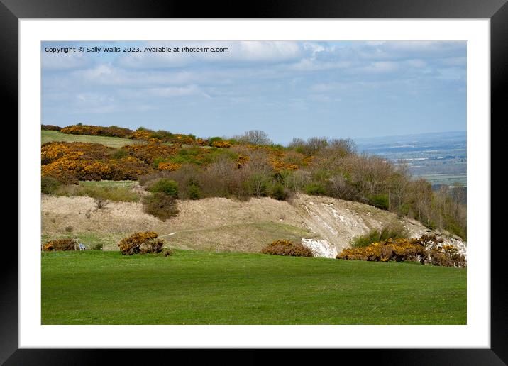 South Down Walks Framed Mounted Print by Sally Wallis