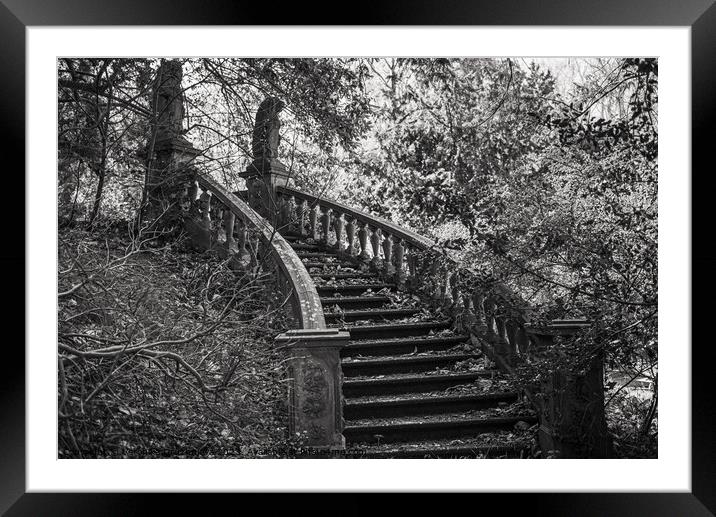 Old stairs in the garden. Netherlands. Framed Mounted Print by Veronika Druzhnieva
