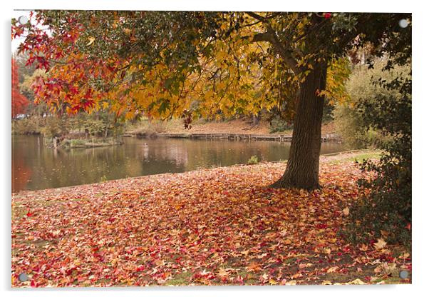 Valence Park  Autumnal Acrylic by David French