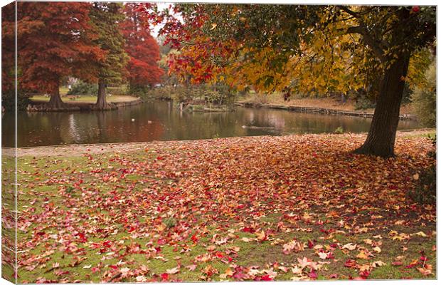 Valence Park  Autumnal Canvas Print by David French