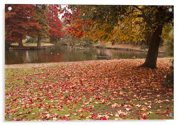 Valence Park  Autumnal Acrylic by David French