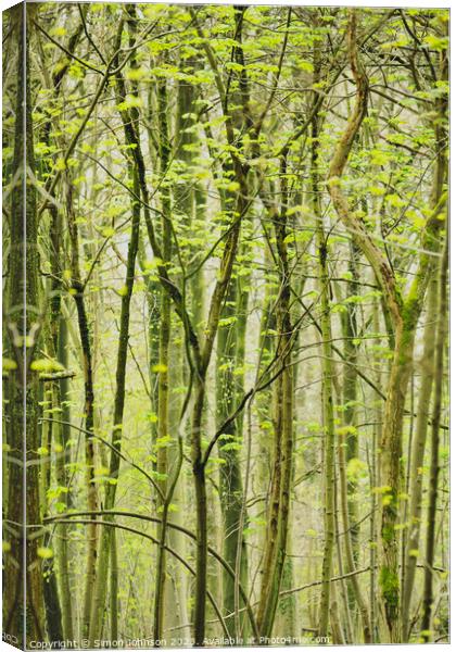 woodland patterns Canvas Print by Simon Johnson
