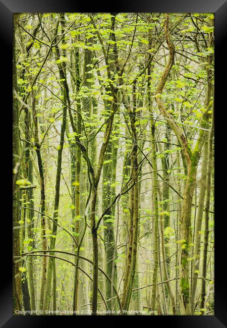 woodland patterns Framed Print by Simon Johnson