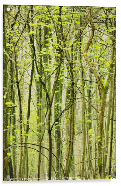 woodland patterns Acrylic by Simon Johnson