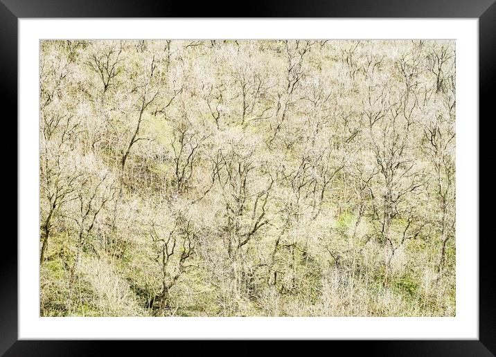 Wooded Hillside, Peak District Framed Mounted Print by Kevin Howchin