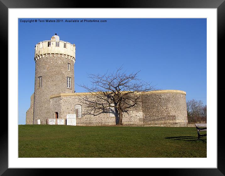 Clifton Observatory, Clifton Down, Bristol Framed Mounted Print by Terri Waters
