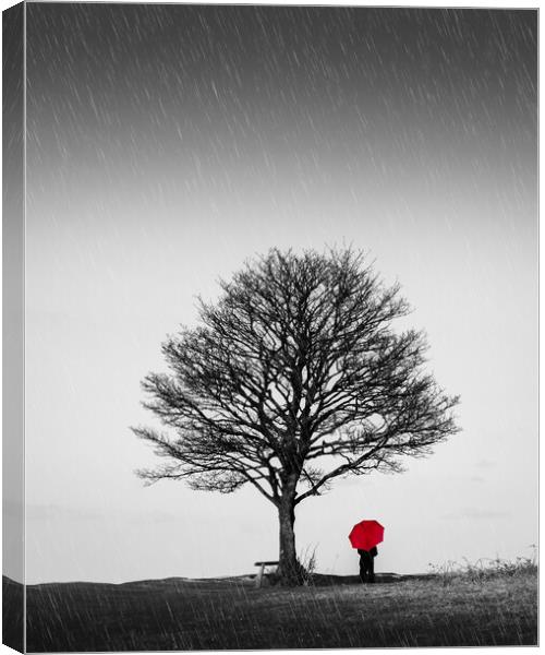 Red Umbrella Canvas Print by Mark Jones