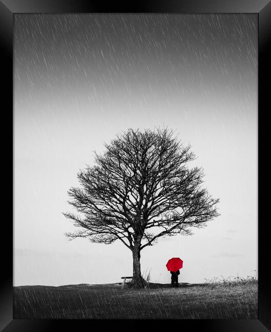 Red Umbrella Framed Print by Mark Jones