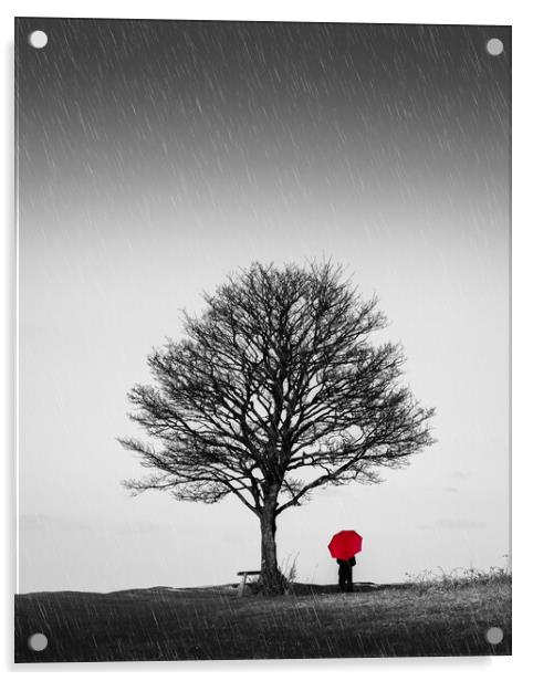 Red Umbrella Acrylic by Mark Jones