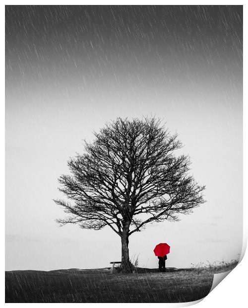 Red Umbrella Print by Mark Jones