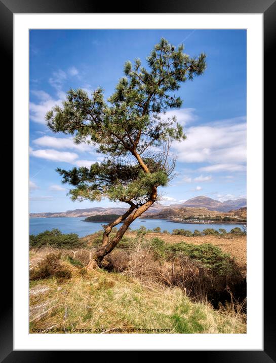 Lone Tree Framed Mounted Print by Alan Simpson