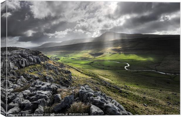 Ingleborough and the River Doe from Twisleton Scar, Yorkshire, UK Canvas Print by David Forster