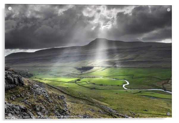 Ingleborough and the River Doe from Twisleton Scar, Yorkshire, UK Acrylic by David Forster