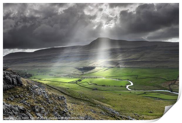Ingleborough and the River Doe from Twisleton Scar, Yorkshire, UK Print by David Forster