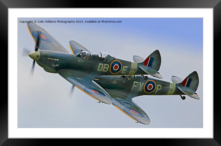 Majestic Spitfires in Flight Framed Mounted Print by Colin Williams Photography