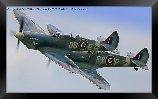 Majestic Spitfires in Flight Framed Print by Colin Williams Photography