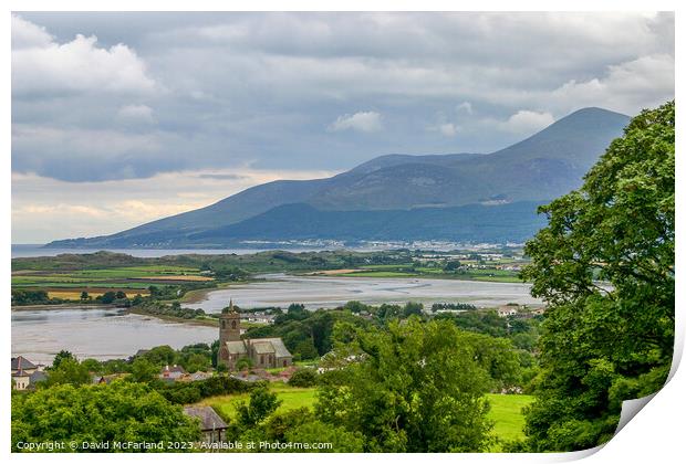 Dundrum at the foot of the Mournes Print by David McFarland