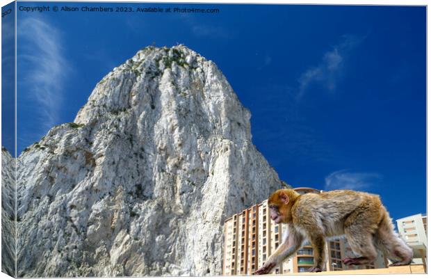Rock Of Gibraltar  Canvas Print by Alison Chambers