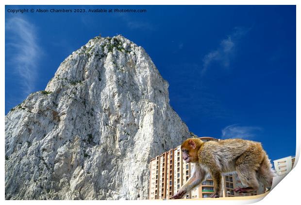 Rock Of Gibraltar  Print by Alison Chambers