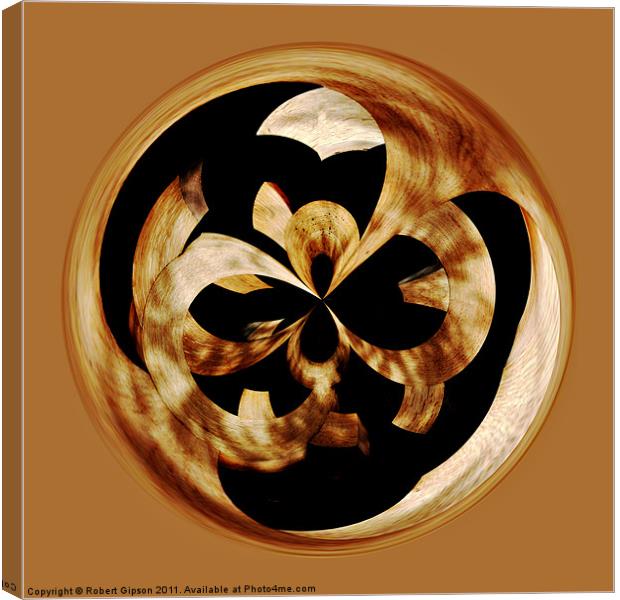 Spherical wood Paperweight curves Canvas Print by Robert Gipson