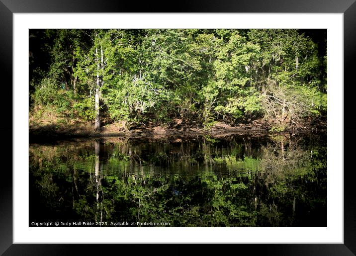 Tranquil Waters Framed Mounted Print by Judy Hall-Folde