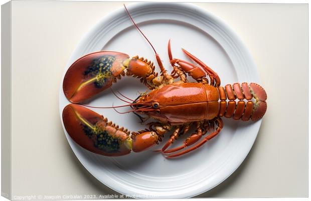 Dish with a single boiled lobster, viewed from above, white lumi Canvas Print by Joaquin Corbalan