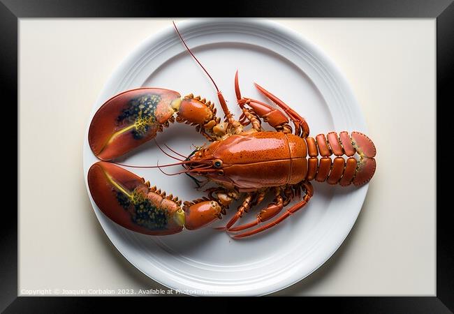 Dish with a single boiled lobster, viewed from above, white lumi Framed Print by Joaquin Corbalan