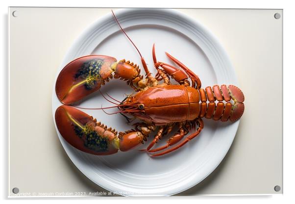 Dish with a single boiled lobster, viewed from above, white lumi Acrylic by Joaquin Corbalan