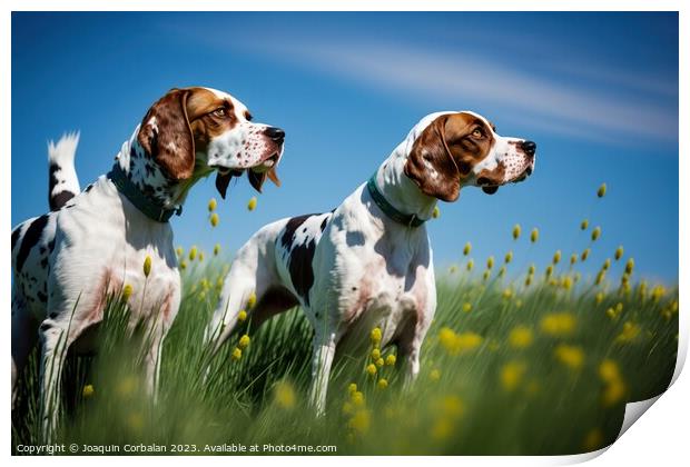 An English Pointer dog, healthy and attentive to prey. Ai genera Print by Joaquin Corbalan