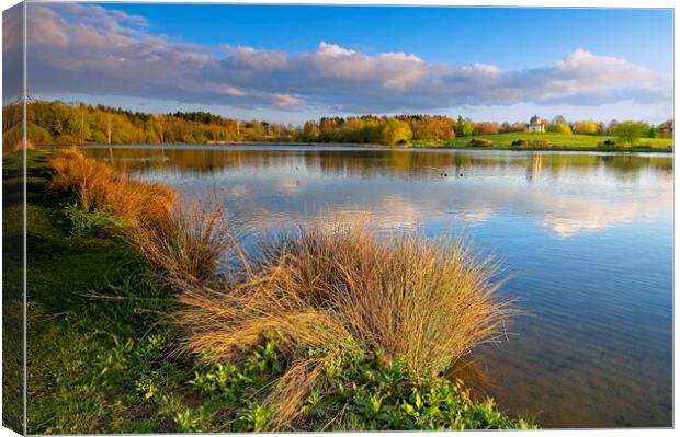 Serene Reflections at Hardwick Park, County Durham Canvas Print by Martyn Arnold