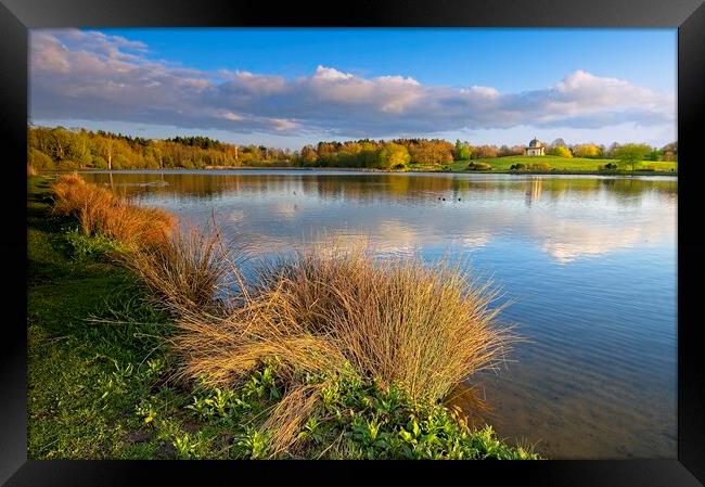 Serene Reflections at Hardwick Park, County Durham Framed Print by Martyn Arnold