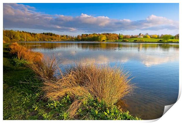 Serene Reflections at Hardwick Park, County Durham Print by Martyn Arnold