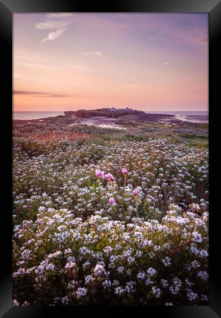 Hilbre Floral Twilight Framed Print by Liam Neon