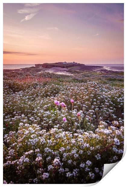 Hilbre Floral Twilight Print by Liam Neon