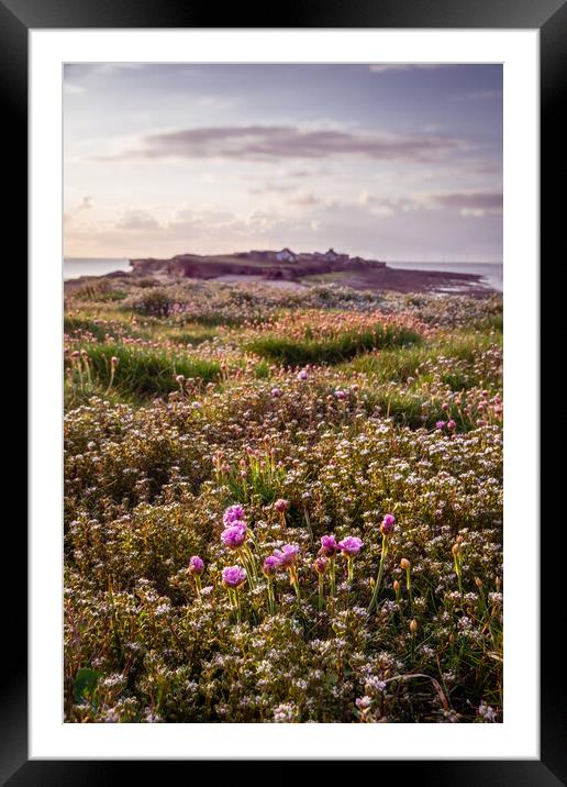 Hilbre Thrift Fields Framed Mounted Print by Liam Neon