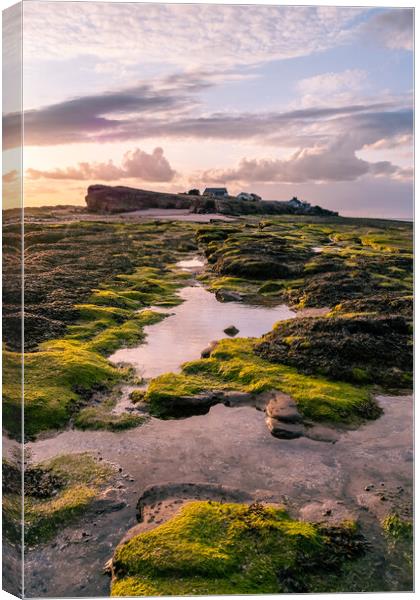 Hilbre Rock Pools at Sunset Canvas Print by Liam Neon