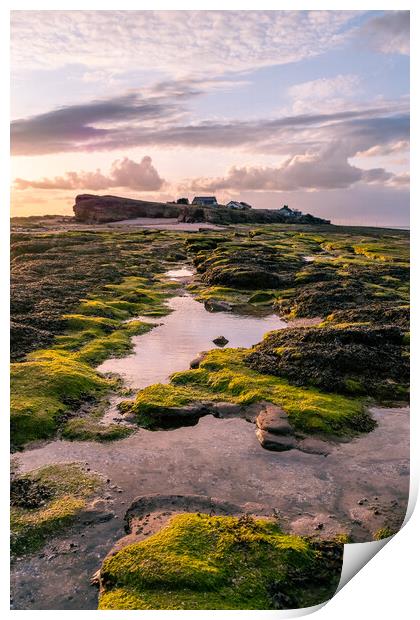 Hilbre Rock Pools at Sunset Print by Liam Neon