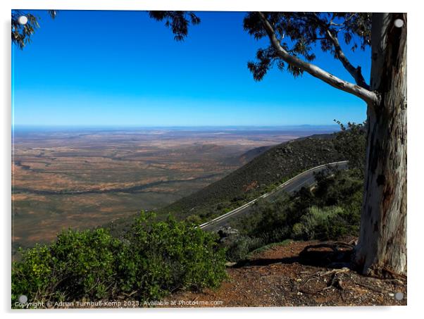 Hantam Karoo plains Acrylic by Adrian Turnbull-Kemp