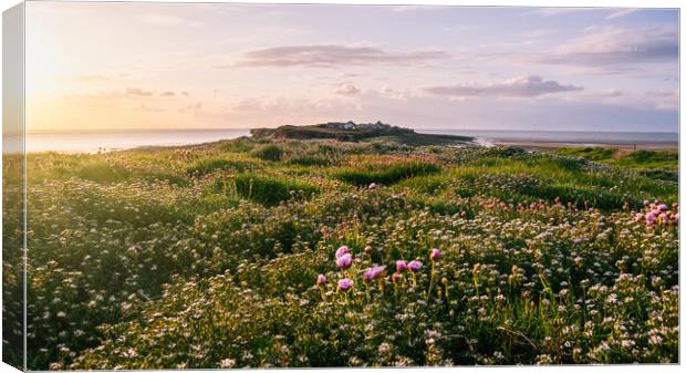 Hilbre Wildflower Glow Canvas Print by Liam Neon