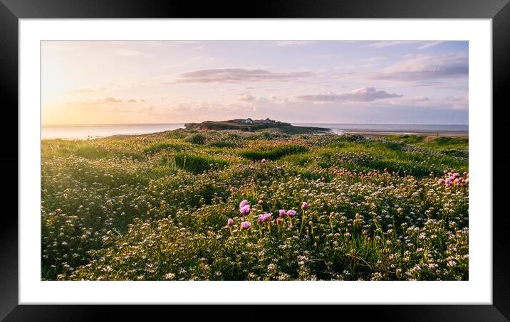 Hilbre Wildflower Glow Framed Mounted Print by Liam Neon