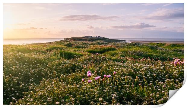 Hilbre Wildflower Glow Print by Liam Neon