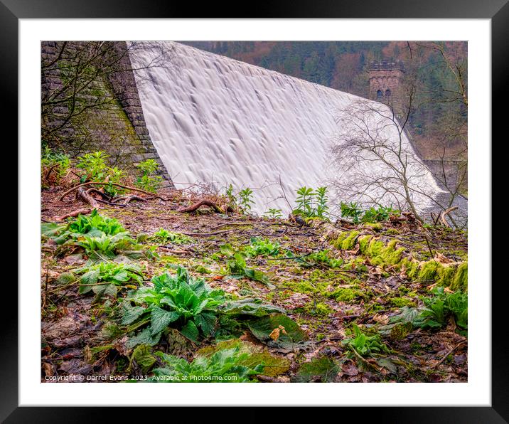 Plants and Derwent Dam  Framed Mounted Print by Darrell Evans