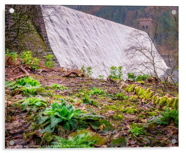 Plants and Derwent Dam  Acrylic by Darrell Evans