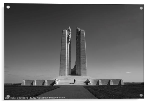 Canadian National Memorial, Vimy Ridge, Monochrome Acrylic by Imladris 