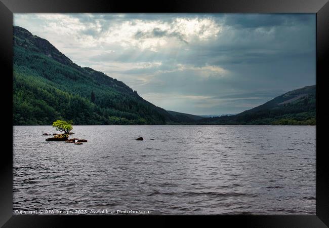 Rooted Solitude on Loch Eck Framed Print by RJW Images